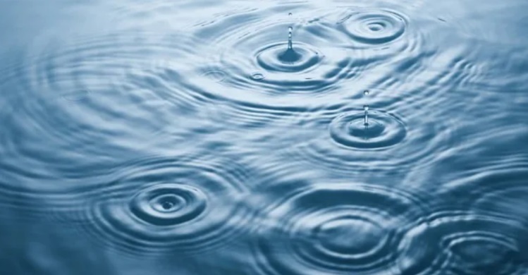 Water droplets on the surface of a body of waterDescription automatically generated